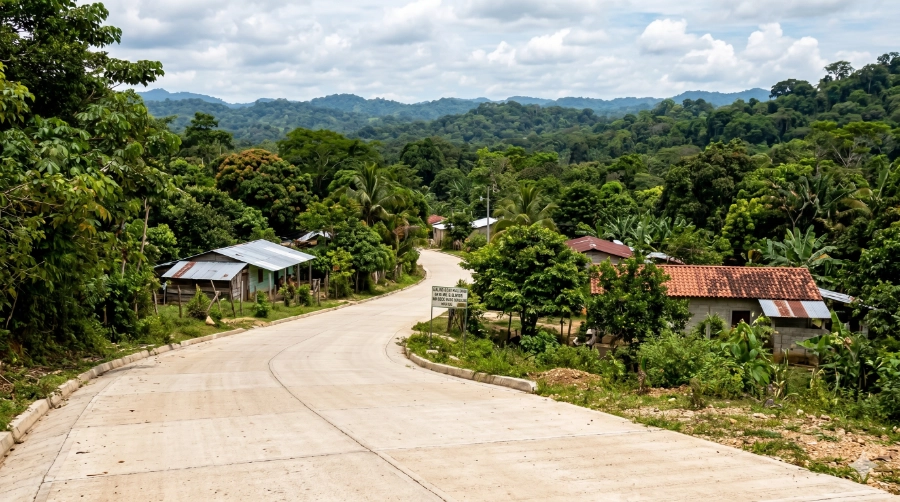Carretera rural